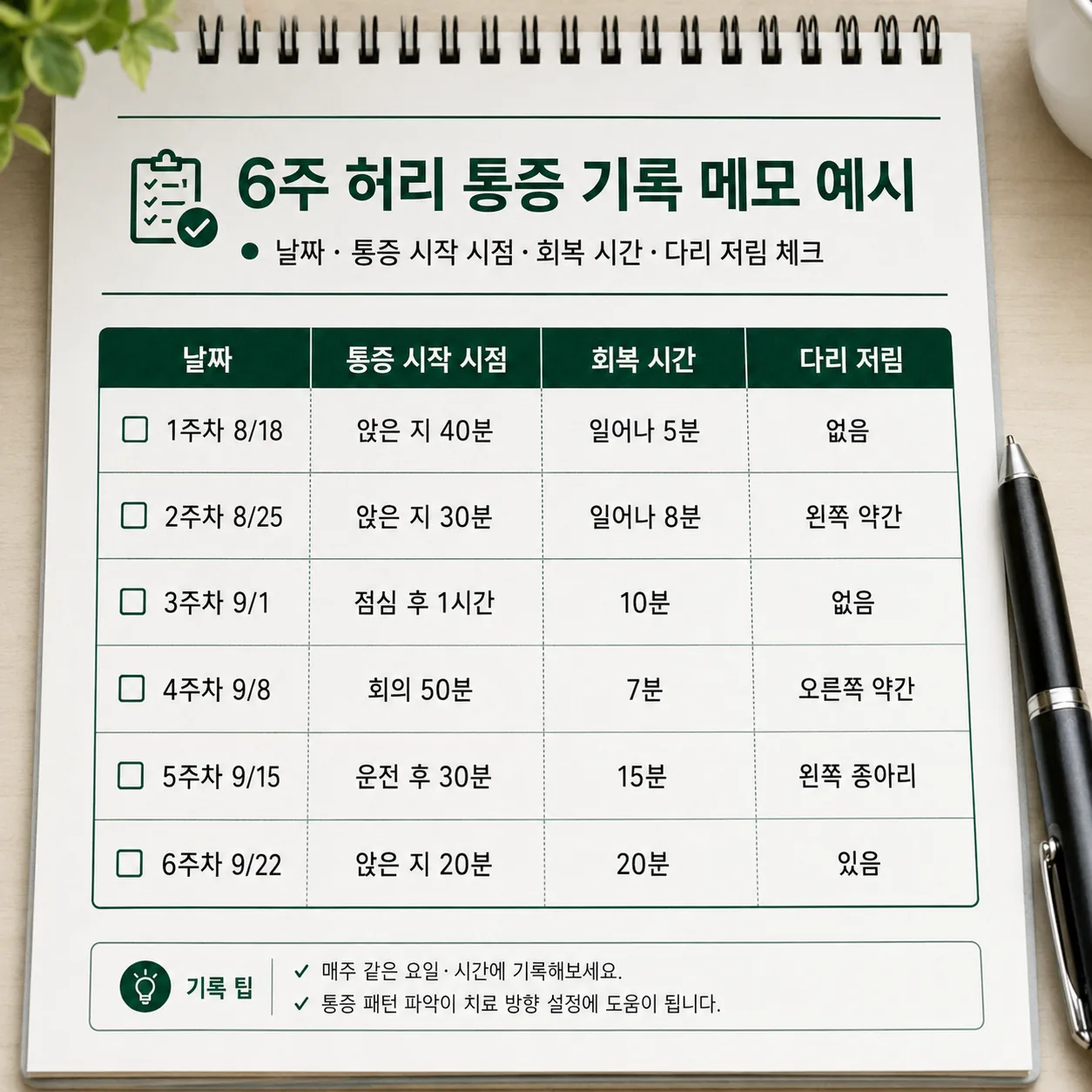허리 통증 6주 관찰 기록 네 칸 메모 예시