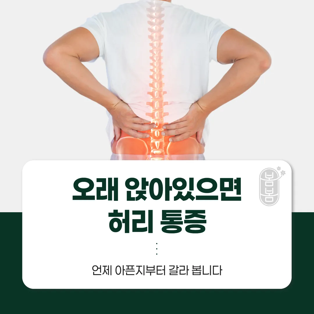 오래 앉아있으면 허리 통증, 언제 아픈지부터 갈라 봅니다
