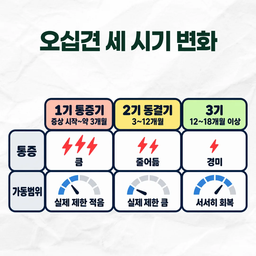 오십견 세 시기별 통증과 어깨 가동범위 변화 도표