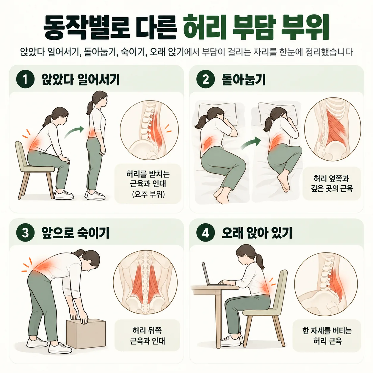 앉았다 일어서기, 돌아눕기, 숙이기, 오래 앉기 동작별로 부담이 걸리는 허리 부위 개념도