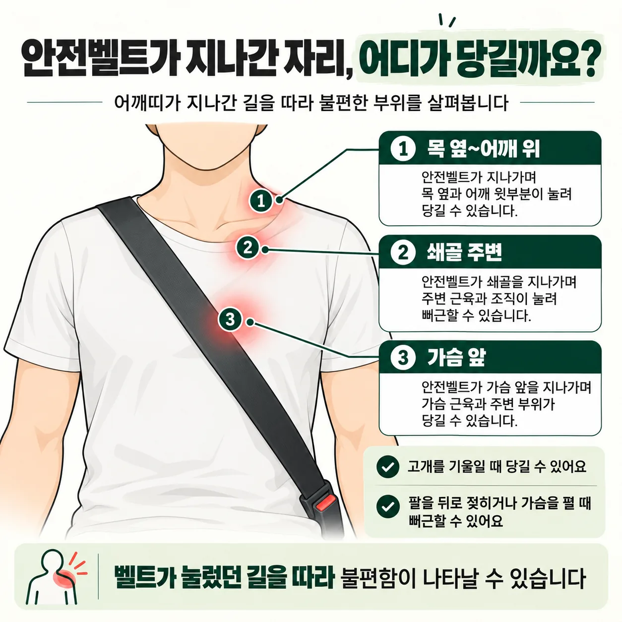 안전벨트 어깨띠가 지나가며 당겨지는 목 옆과 어깨 위, 쇄골 주변, 가슴 앞 세 부위 안내도